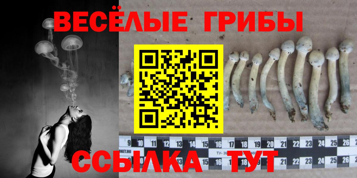 Галлюциногенные грибы Cubensis  Полысаево 